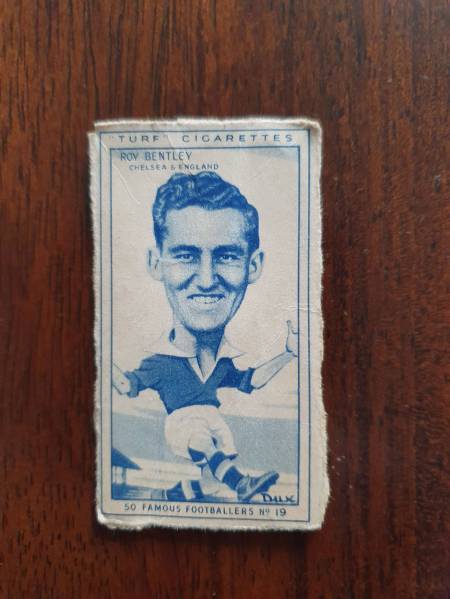 Cards (23)