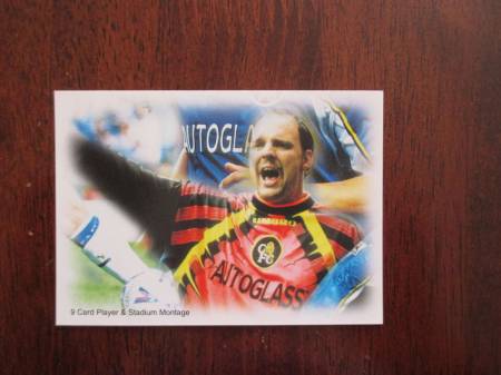 Cards (261)