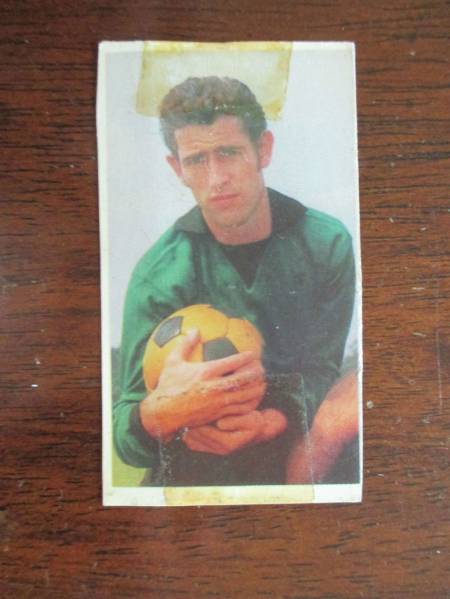 Cards (62)