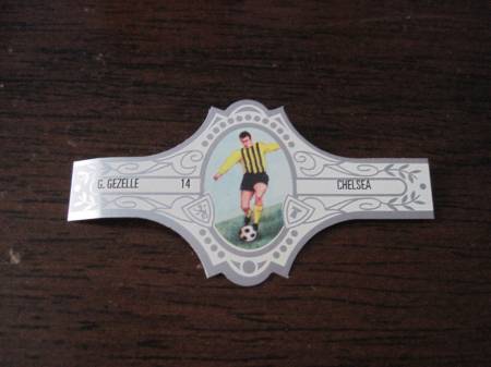 Cards (8)