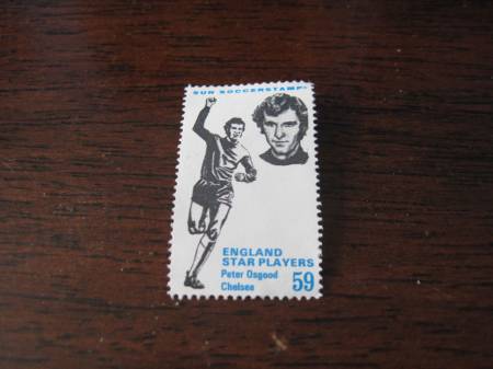 Cards (91)