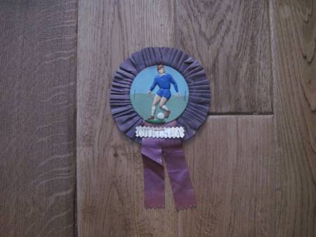 Rosette (13)